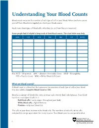 Understanding Your Blood Counts