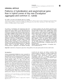 Patterns of Hybridization and Asymmetrical Gene Flow in Hybrid