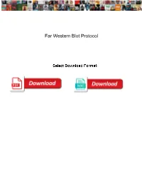 Far Western Blot Protocol