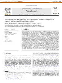 Structure and Spectral Sensitivity of Photoreceptors of Two Anchovy Species: Engraulis Japonicus and Engraulis Encrasicolus ⇑ Sergei L