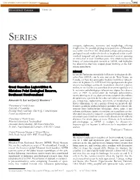SERIES Ontogeny, Taphonomy, Taxonomy and Morphology, Offering Insights Into the Possible Phylogenetic Positions of Ediacaran Taxa Within the Tree of Life