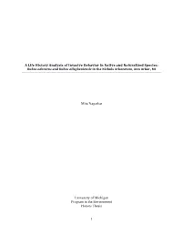 1 a Life History Analysis of Invasive Behavior in Native and Naturalized