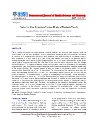 Cadaveric Case Report on Variant Heads of Plantaris Muscle. Int J Health Sci Res