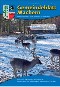 Gemeindeblatt Machern (Amtsblatt) Januar 2021.Pdf