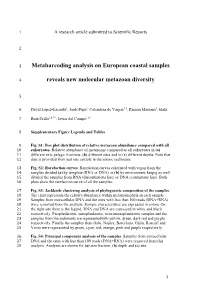 Metabarcoding Analysis on European Coastal Samples Reveals New