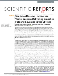Sea Lions Develop Human-Like Vernix Caseosa Delivering Branched Fats and Squalene to the GI Tract
