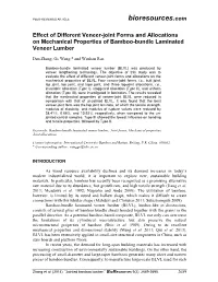 Effect of Different Veneer-Joint Forms and Allocations on Mechanical Properties of Bamboo-Bundle Laminated Veneer Lumber