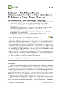 Evaluation of Anti-Inflammatory and Atheroprotective Properties Of