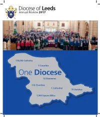 2017 Annual Review
