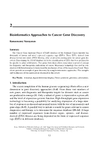 Bioinformatics Approaches to Cancer Gene Discovery