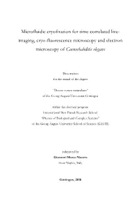 Microfluidic Cryofixation for Time-Correlated Live- Imaging, Cryo-Fluorescence Microscopy and Electron Microscopy of Caenorhabditis Elegans