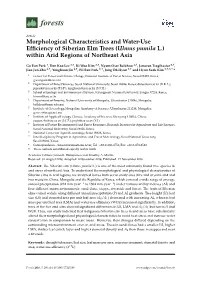 Morphological Characteristics and Water-Use Efficiency of Siberian Elm Trees (Ulmus Pumila L.) Within Arid Regions of Northeast