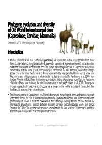 Phylogeny, Evolution, and Diversity of Old World Telemetacarpal Deer