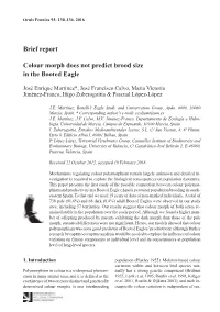 Brief Report Colour Morph Does Not Predict Brood Size in the Booted Eagle