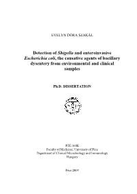 Detection of Shigella and Enteroinvasive Escherichia Coli, the Causative Agents of Bacillary Dysentery from Environmental and Clinical Samples