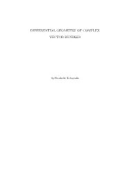 Differential Geometry of Complex Vector Bundles