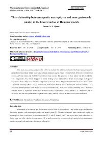 The Relationship Between Aquatic Macrophytes and Some Gastropoda (Snails) in the Lower Reaches of Hammar Marsh Inaam A