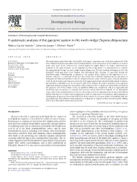 A Systematic Analysis of the Gap Gene System in the Moth Midge Clogmia Albipunctata