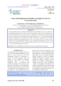 Gross and Morphometrical Studies on Scapula of Civet Cat (Viverricula Indica)