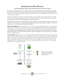 Introduction to Rust Diseases