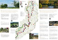 Klosterroute Nordschwarzwald (PDF)