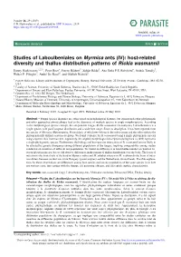 Studies of Laboulbeniales on Myrmica Ants (IV): Host-Related Diversity and Thallus Distribution Patterns of Rickia Wasmannii
