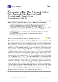 Determination of Three Main Chlorogenic Acids in Water Extracts of Coffee Leaves by Liquid Chromatography Coupled to an Electrochemical Detector