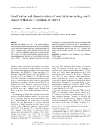 Identification and Characterisation of Novel Tubulin-Binding Motifs