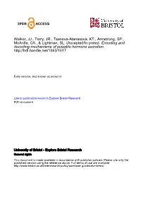 PDF-Document