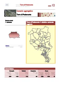 Scenario Aggregativo