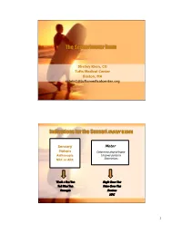 The Sensorimotor Exam