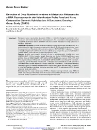 Detection of Copy Number Alterations in Metastatic Melanoma by a DNA