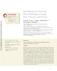 Identifying and Naming Plant-Pathogenic Fungi: Past, Present, and Future