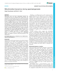 Mitochondrial Dynamics During Spermatogenesis Grigor Varuzhanyan and David C