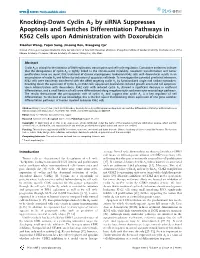 Knocking-Down Cyclin A2 by Sirna Suppresses Apoptosis and Switches Differentiation Pathways in K562 Cells Upon Administration with Doxorubicin
