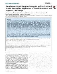 Gene Expression During the Generation and Activation of Mouse Neutrophils: Implication of Novel Functional and Regulatory Pathways