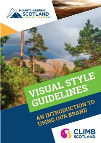 Visual Style Guidelines