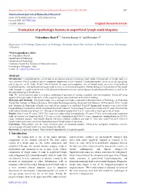 Evaluation of Pathologic Lesions in Superficial Lymph Node Biopsies