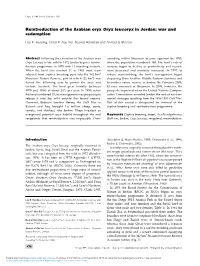 Reintroduction of the Arabian Oryx Oryx Leucoryx in Jordan: War and Redemption