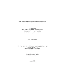 The Lived Experience of Ambiguous Marital Separation a Dissertation