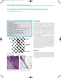 6 Development of the Teeth: Root and Supporting Structures Nagat M