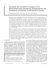 (Decapoda), Euphausiacea, and Mysidacea (Crustacea): a Phylogenetic Interest