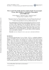 First Record of the North American Cryptic Invader Ferrissia Fragilis