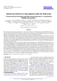 Gamma-Ray Emission in Radio Galaxies Under the VLBI Scope I