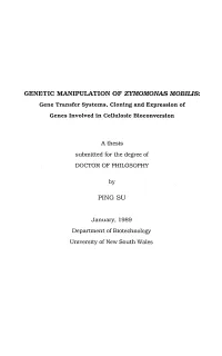 GENETIC MANIPULATION of ZYMOMONAS MOBILIS: Gene Transfer Systems, Cloning and Expression of Genes Involved in Cellulosic Bioconversion