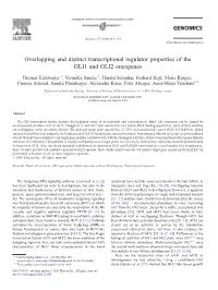 Overlapping and Distinct Transcriptional Regulator Properties of the GLI1 and GLI2 Oncogenes