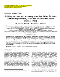 Spitting Success and Accuracy in Archer Fishes Toxotes Chatareus (Hamilton, 1822) and Toxotes Jaculatrix (Pallas, 1767)