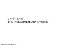 The Integumentary System