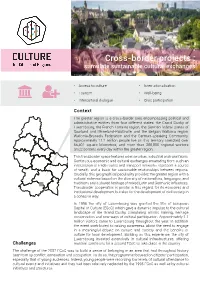 Cross-Border Projects : Stimulate Sustainable Cultural Exchanges