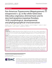 Pan-American Trypanosoma (Megatrypanum) Trinaperronei N. Sp